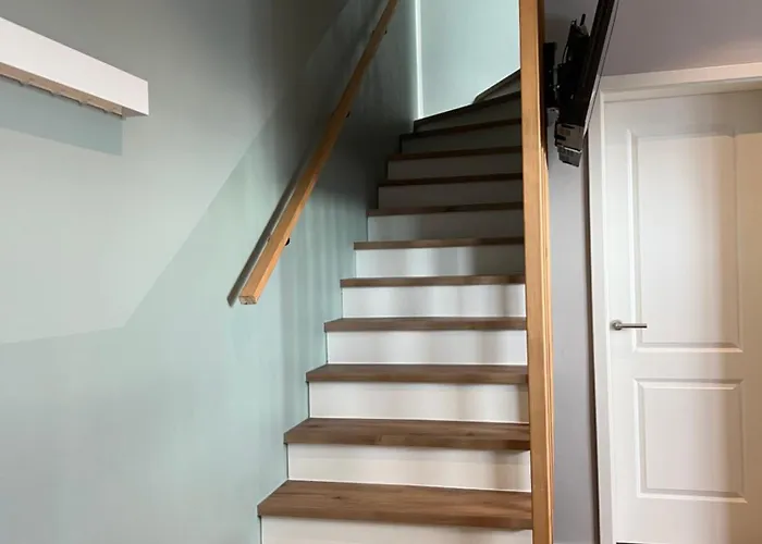 Lippischer-traum 1 公寓 代特莫尔德