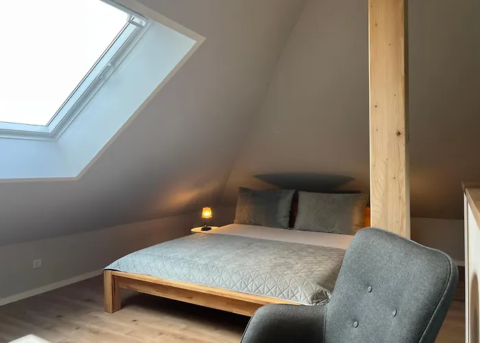 Lippischer-traum 1 * 代特莫尔德